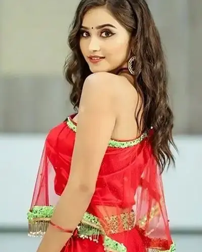 Escort In Janjgir-Champa